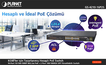 PL-GS-4210-16P2S