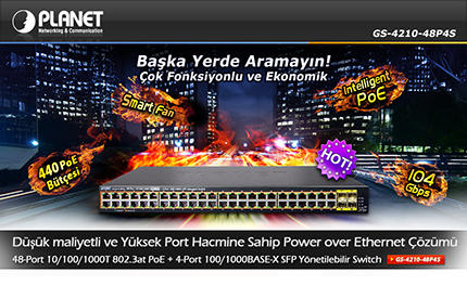 PL-GS-4210-48P4S