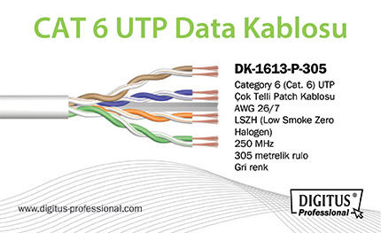 dk-1613-p-305