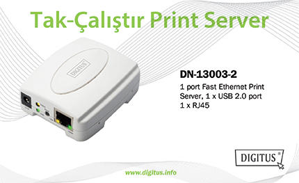 dn-13003-2