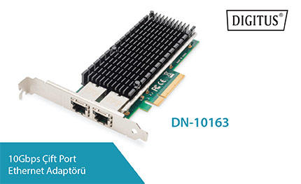 DN-10163