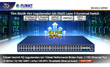 GS-6311-48T6X